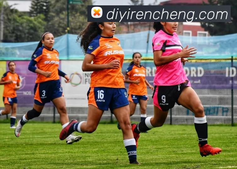 爱游戏ayx平台官网APP 封面图